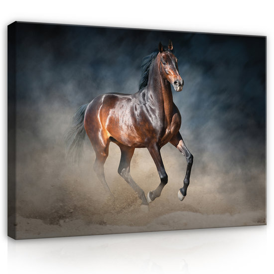 Brown horse Canvas Schilderij PP13600O1