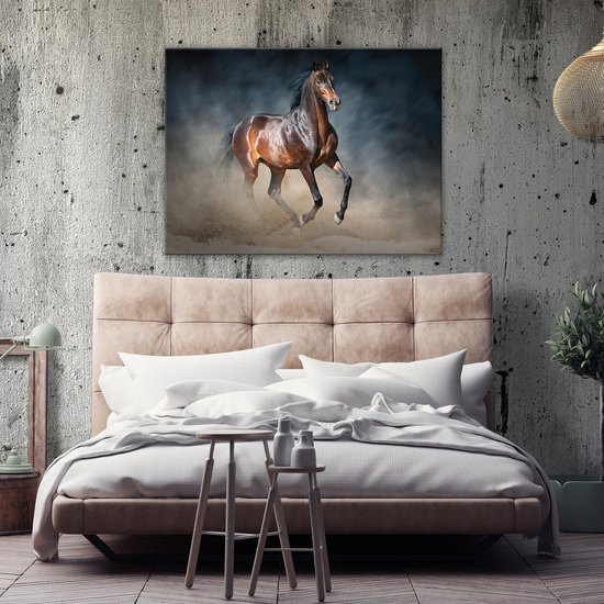 Brown horse Canvas Schilderij PP13600O1