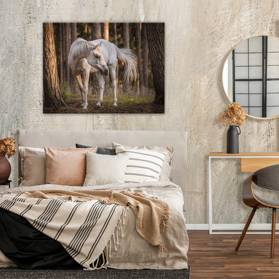 White horse in the forest Canvas Schilderij PP13599O1