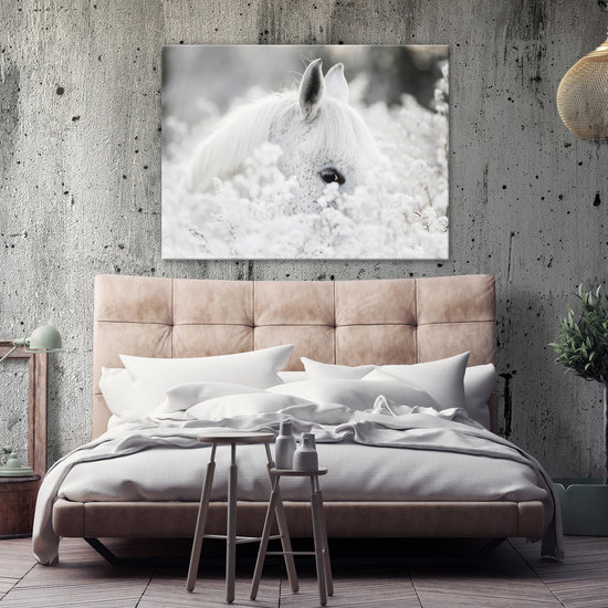 White horse at snow Canvas Schilderij PP13598O1