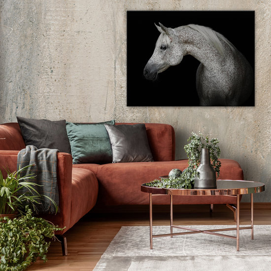 White horse Canvas Schilderij PP13597O1