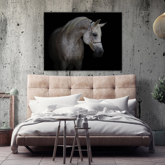 White horse Canvas Schilderij PP13596O1