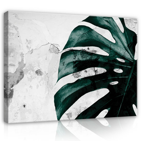 Flowers Monstera Canvas Schilderij PP13516O1