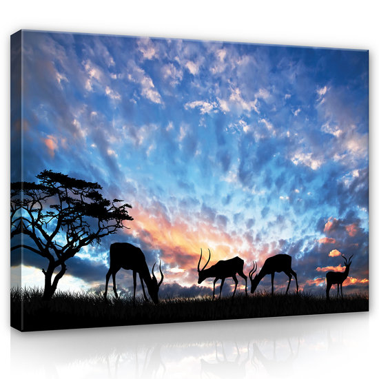 Animals Canvas Schilderij PP12642O1