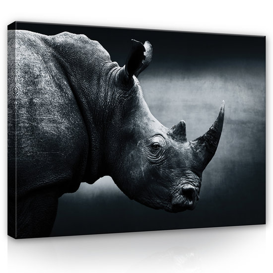 Rhino Canvas Schilderij PP12738O1