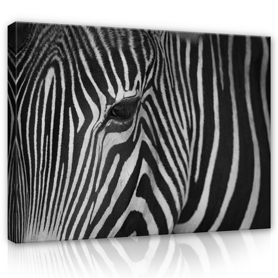 Zebra Canvas Schilderij PP12736O1