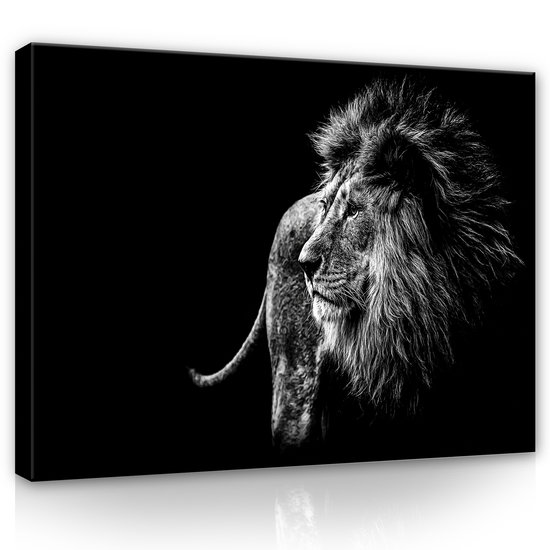 Lion Canvas Schilderij PP12724O1