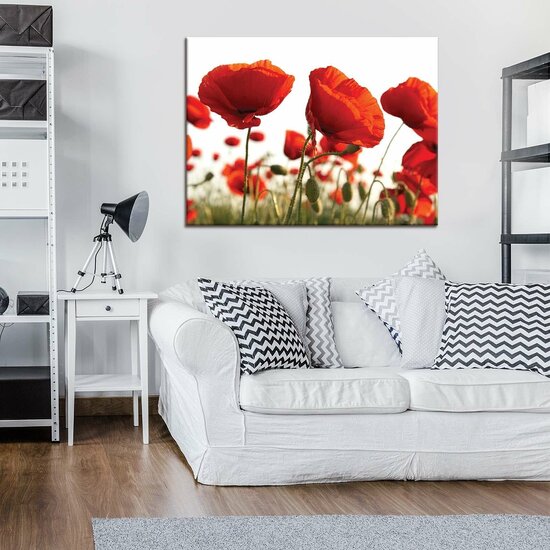 Poppies Canvas Schilderij PP10084O1