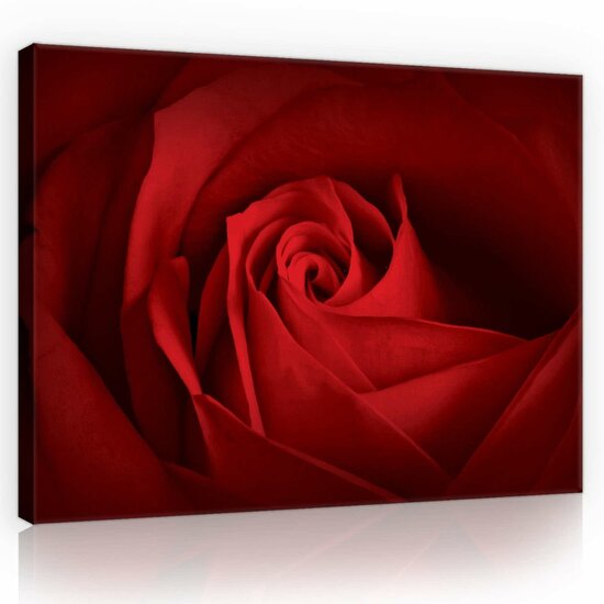 Rose Canvas Schilderij PP10151O1