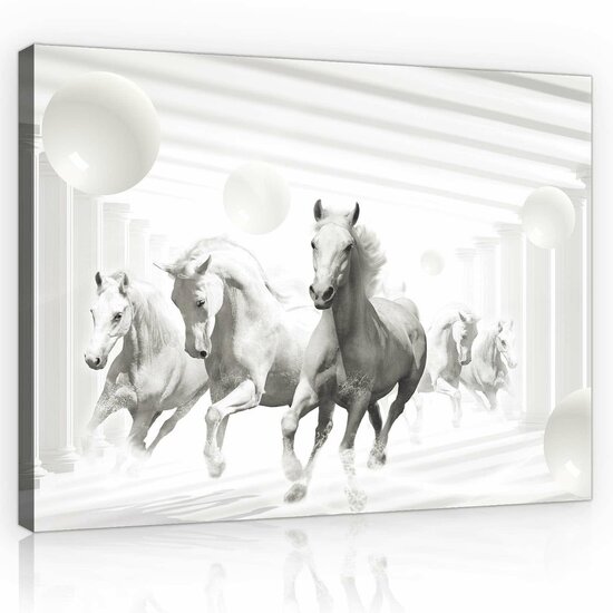 Abstract horses Canvas Schilderij PP10154O1