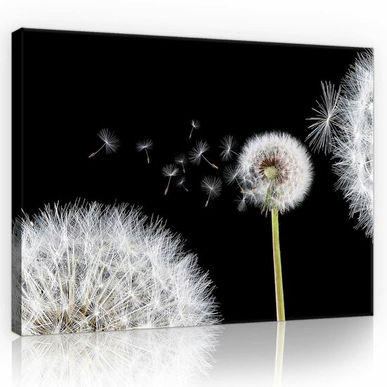 Dandelions Canvas Schilderij PP10165O1