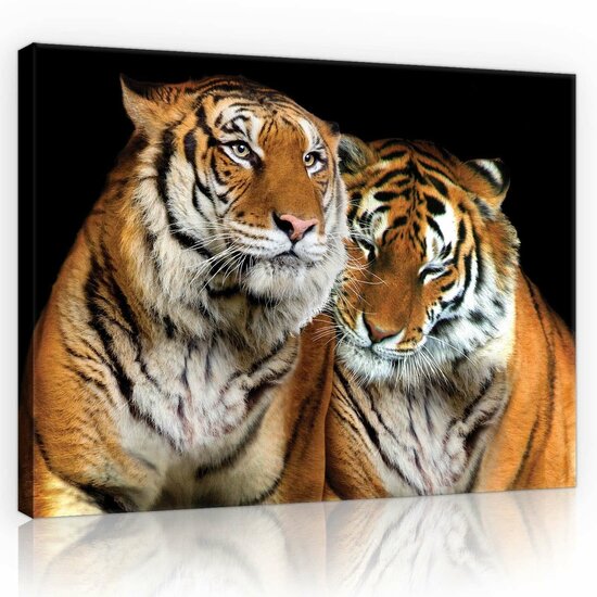 Tigers Canvas Schilderij PP10173O1