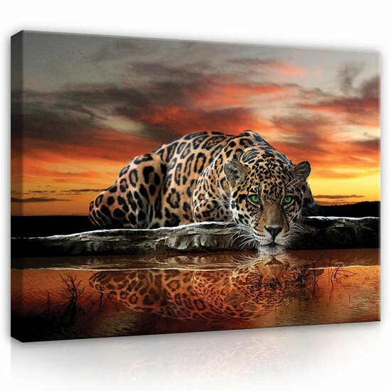 Jaguar Against the Setting Sun Canvas Schilderij PP101O1