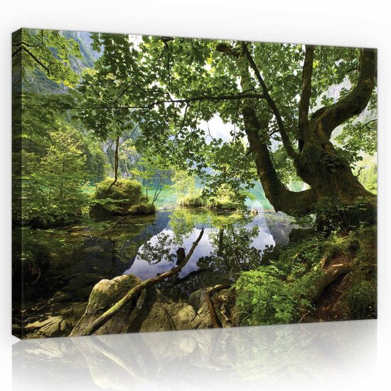 Forest Canvas Schilderij PP10222O1