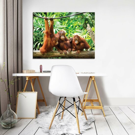 Orangutans in the Jungle Canvas Schilderij PP10230O1