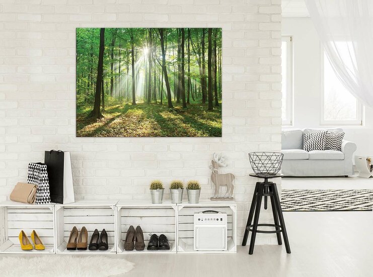 Forest in Daylight Canvas Schilderij PP10329O1
