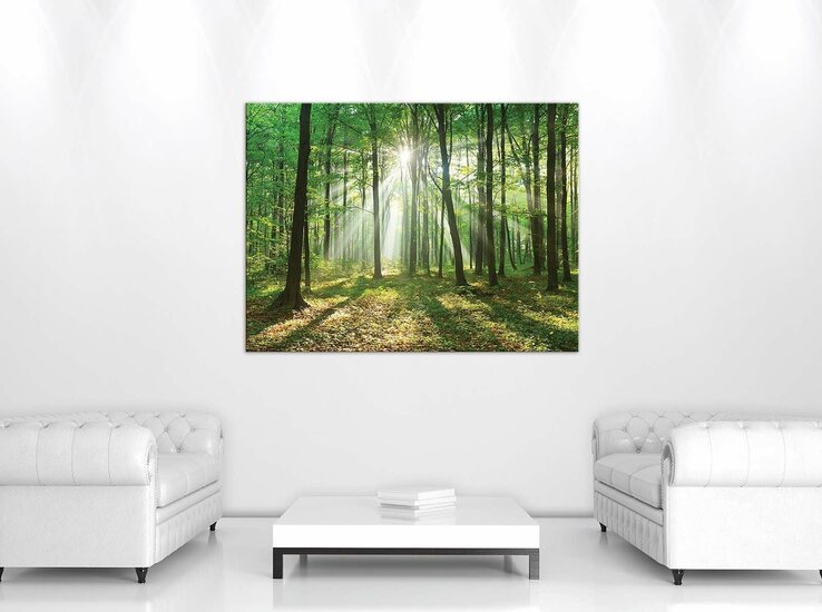 Forest in Daylight Canvas Schilderij PP10329O1