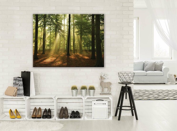 Forest in the Daylight Canvas Schilderij PP10331O1