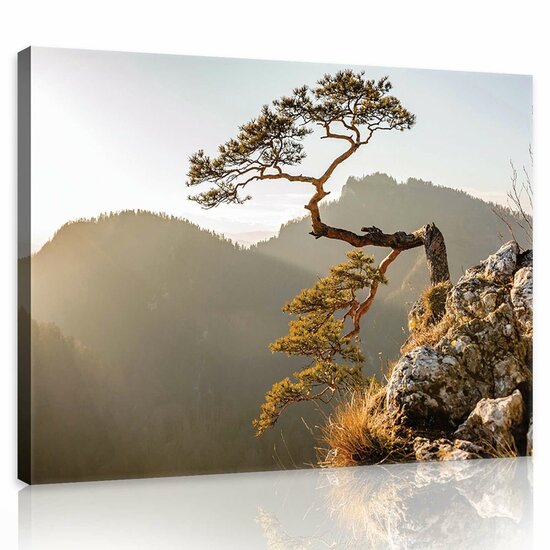 The Pieniny Mountain Canvas Schilderij PP10511O1