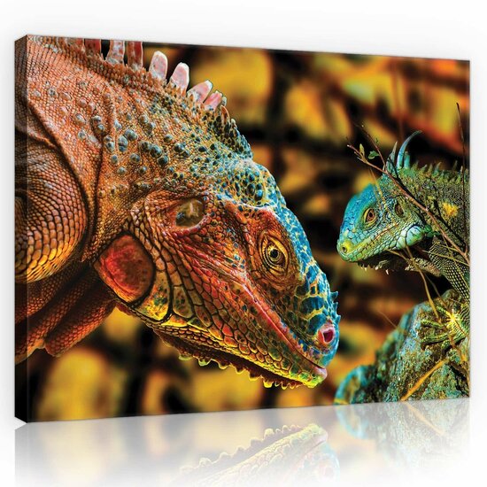 Colourful Komodo Dragon Canvas Schilderij PP10568O1