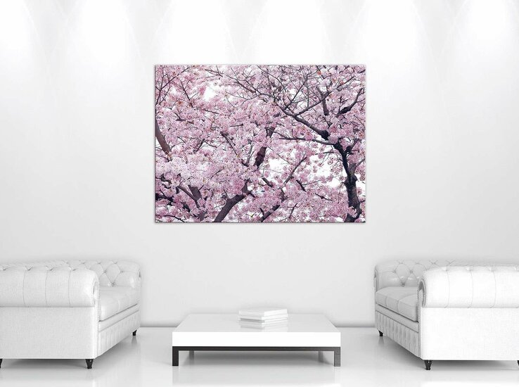 Apple flowers Canvas Schilderij PP10894O1