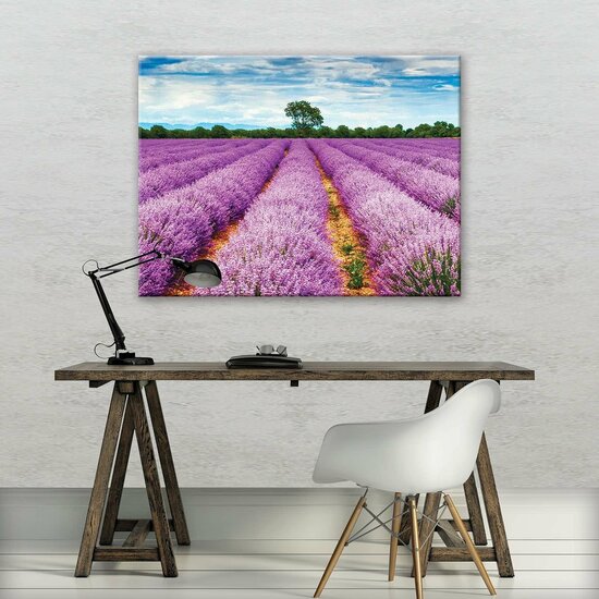 Heather field Canvas Schilderij PP11039O1