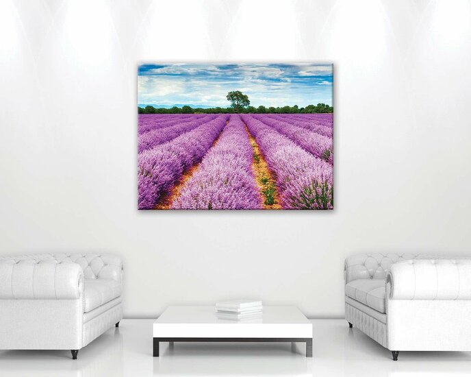 Heather field Canvas Schilderij PP11039O1