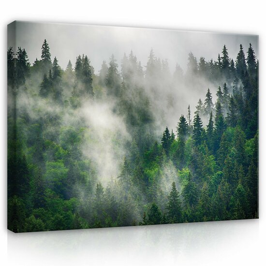 Nature forest landscape fog Canvas Schilderij PP14566O1