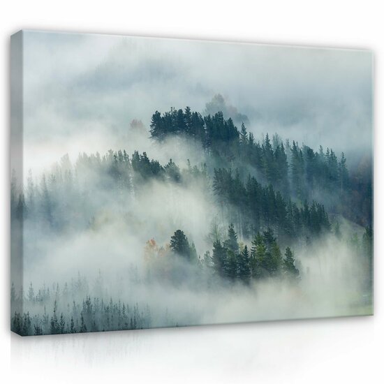 Nature forest landscape fog Canvas Schilderij PP14552O1