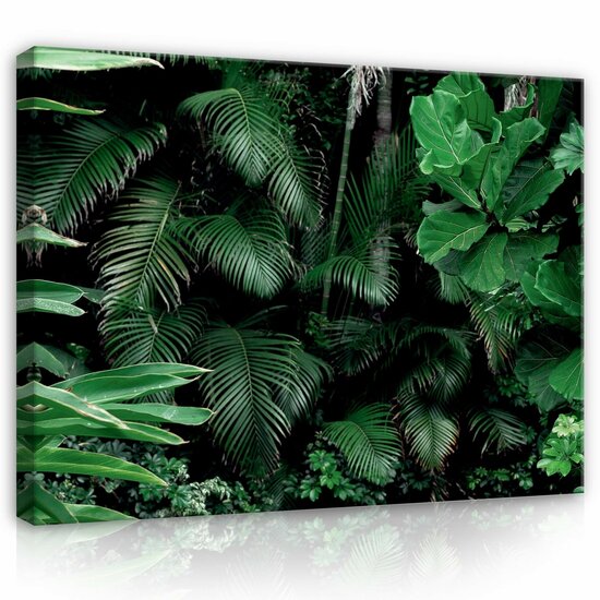 Nature Forest Rainforest Leaves Canvas Schilderij PP14402O1