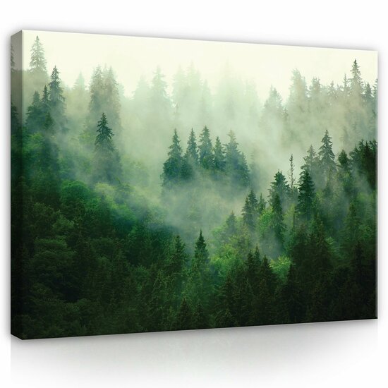 Nature Forest Forest Fog Green Canvas Schilderij PP14210O1