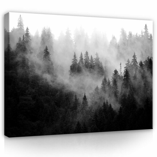 Forest in the fog Canvas Schilderij PP13564O1