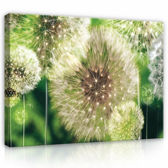 Dandelions Canvas Schilderij PP120O1