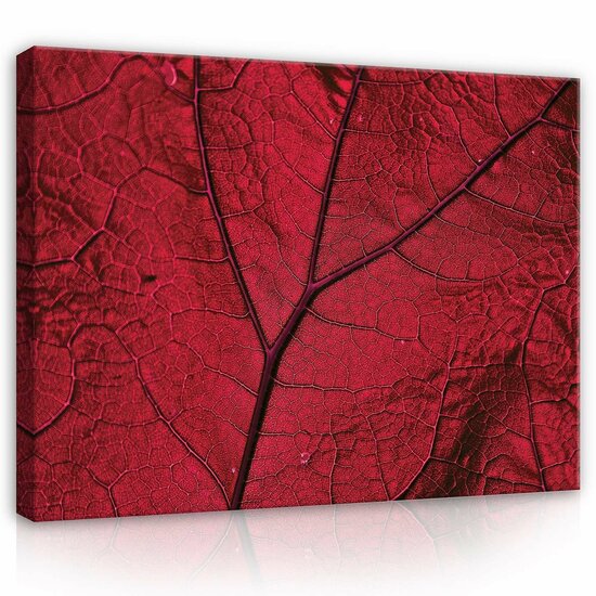 Macro leaf - pink Canvas Schilderij PP13570O1