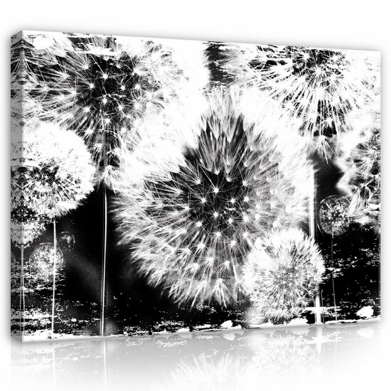 Dandelion Canvas Schilderij PP1568O1