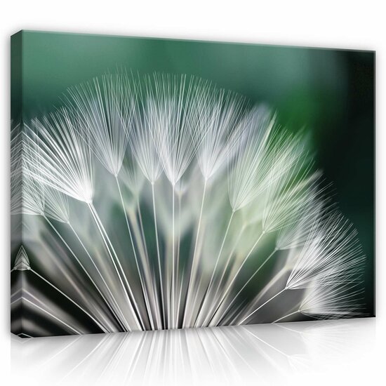 Dandelion Canvas Schilderij PP118O1