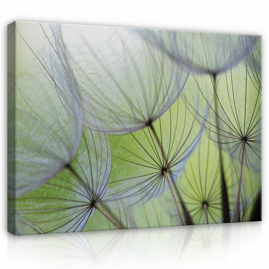 Dandelions Canvas Schilderij PP269O1