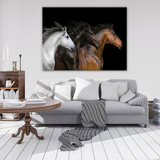 Horses Canvas Schilderij PP12711O1