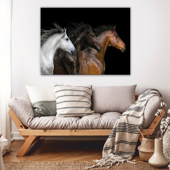 Horses Canvas Schilderij PP12711O1