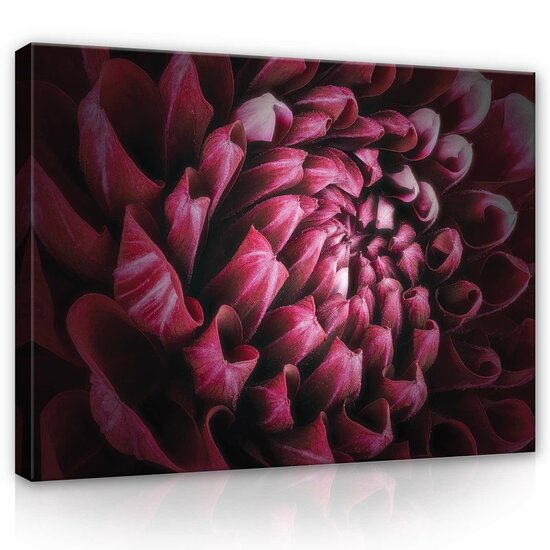 Plant Canvas Schilderij PP12710O1