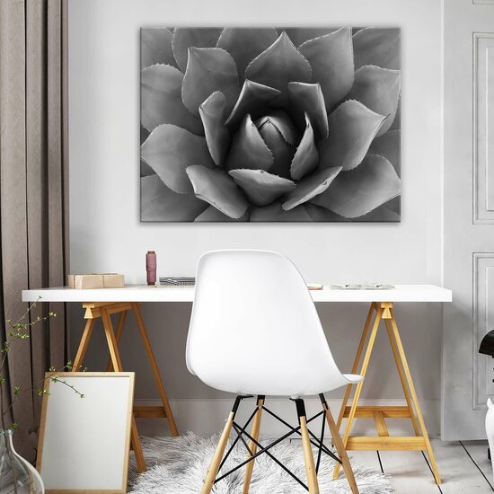 Plant Canvas Schilderij PP12684O1