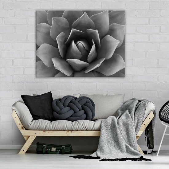 Plant Canvas Schilderij PP12684O1