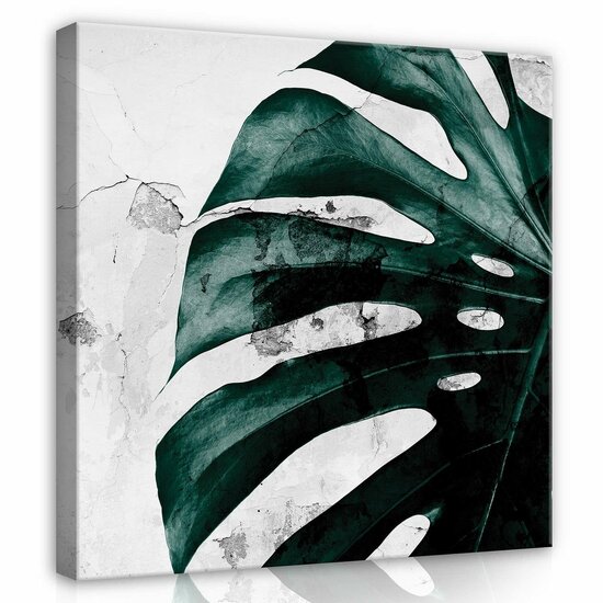 Flowers Monstera Canvas Schilderij PP13516O2