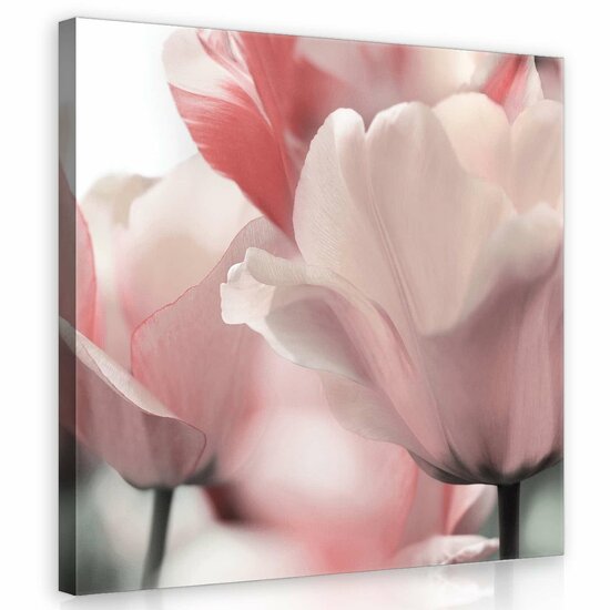 Flowers Canvas Schilderij PP11911O2