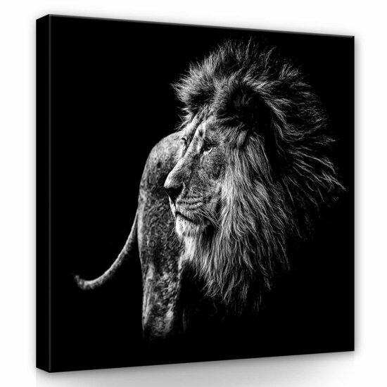 Lion Canvas Schilderij PP12724O2