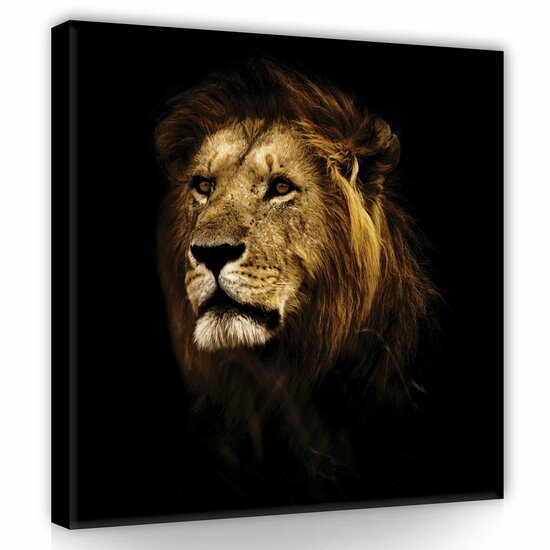 Lion Canvas Schilderij PP11766O2