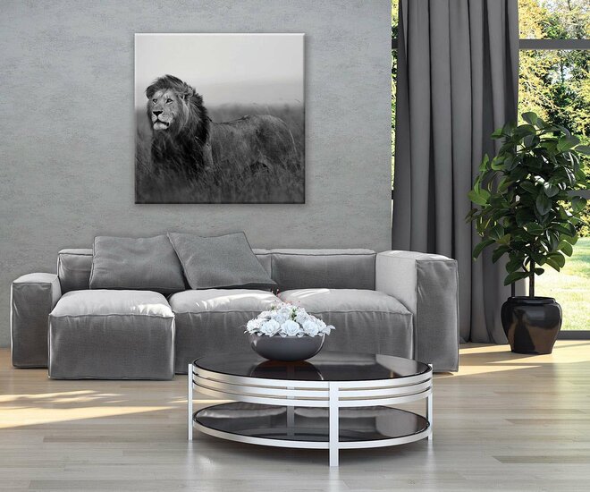 Lion Canvas Schilderij PP11760O2