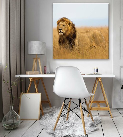 Lion Canvas Schilderij PP11750O2