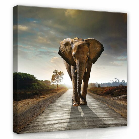 Elephant Canvas Schilderij PP12616O2