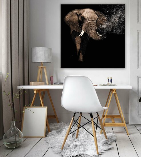 Elephant Canvas Schilderij PP11762O2